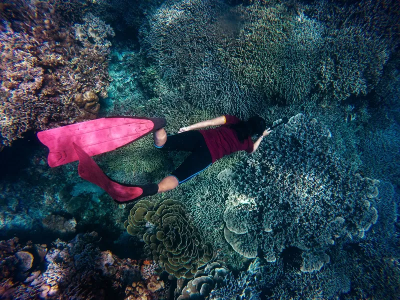 Meet the Families Turning Their Oceanfront Homes Into Coral Reef Lifelines
