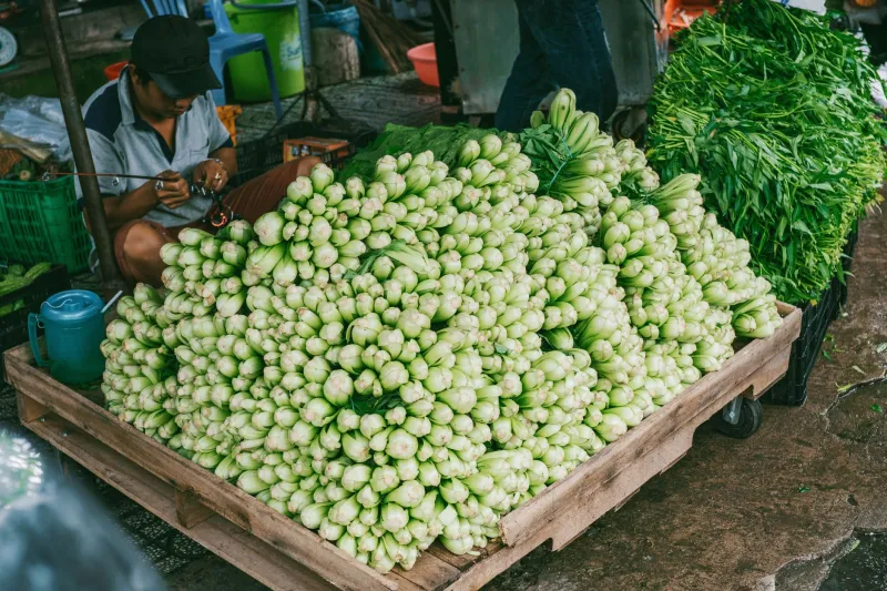 From Farm Stand to Fork: The Real Environmental Cost of What You Eat on Vacation